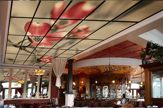 Ceiling Display
